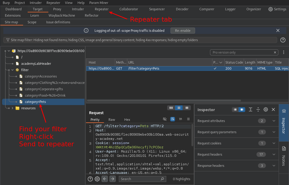 Burp Suite showing where to find filter and the repeater tab