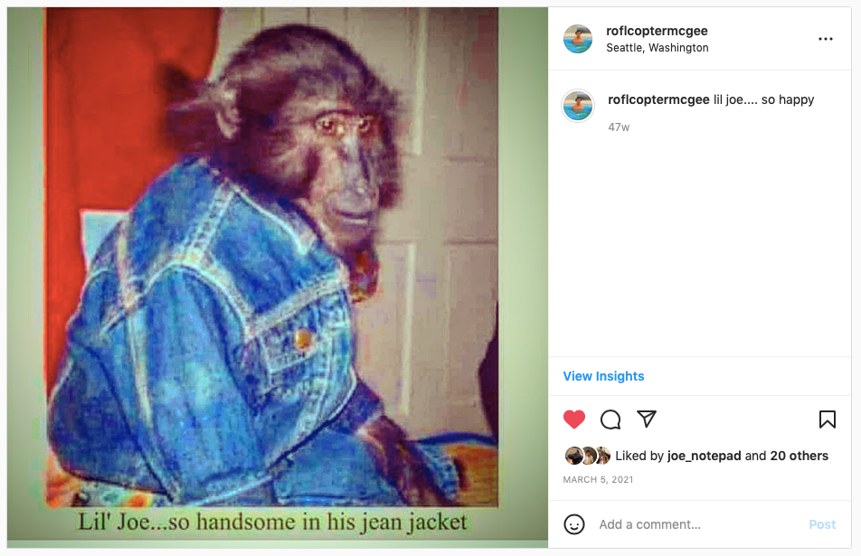 monkey in denim jacket Instagram