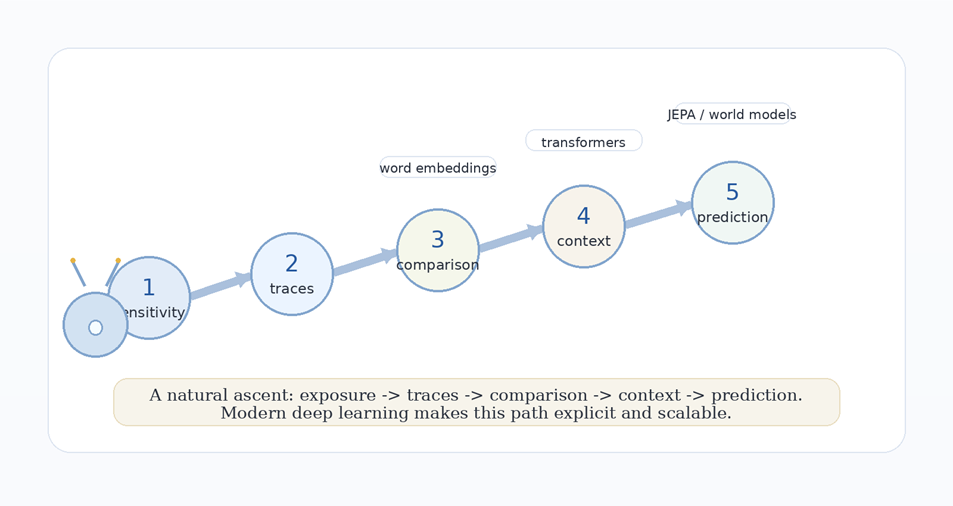 From Primitive Learning to Intelligent Representations