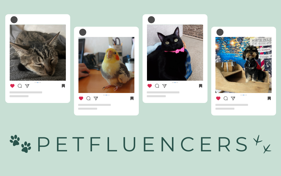The Pawsitive Power of Petfluencers: A Look at the Influence of Pets in Marketing