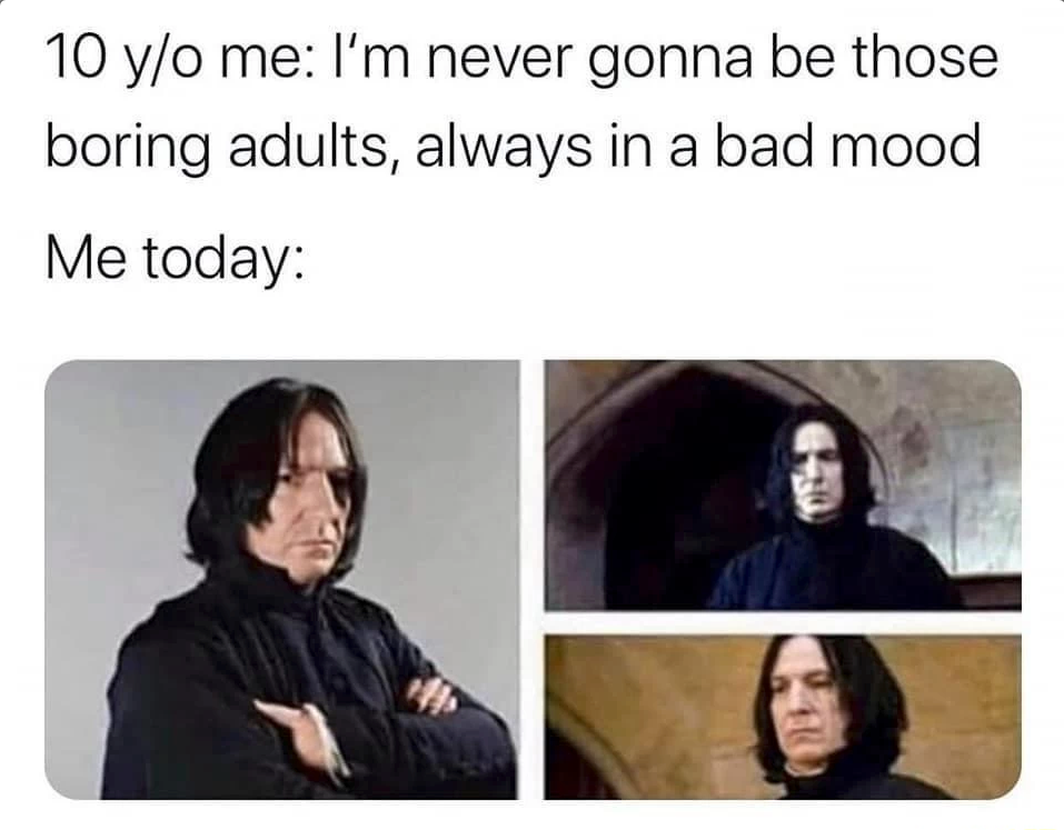 A meme with Severus Snape from Harry Potter