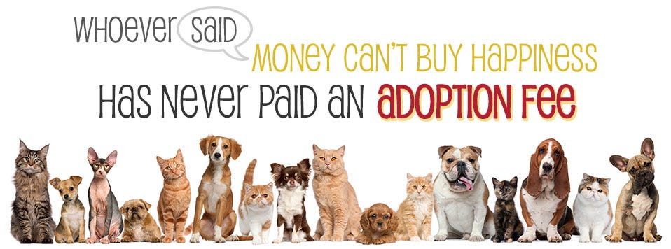 adoption-fee-banner