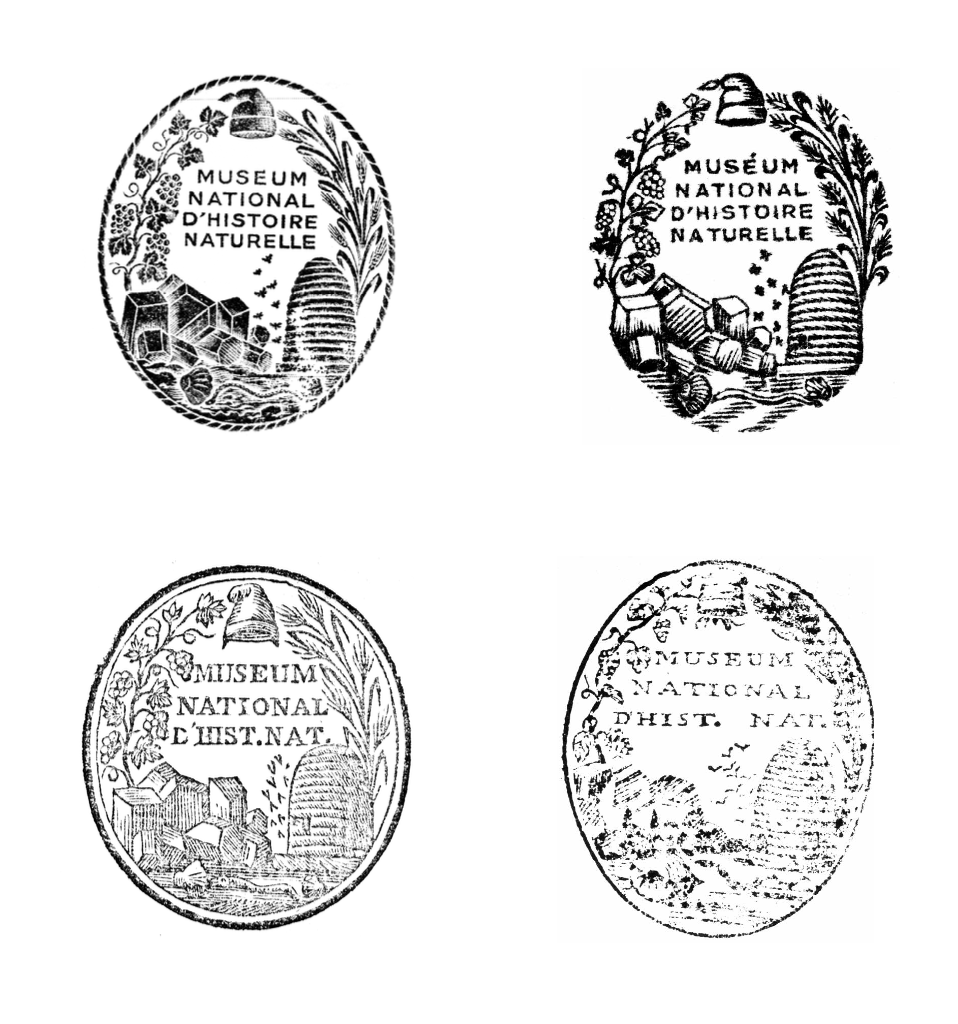 Collection of four vintage seals from the Muséum National d’Histoire Naturelle, each with distinct designs representing different eras.