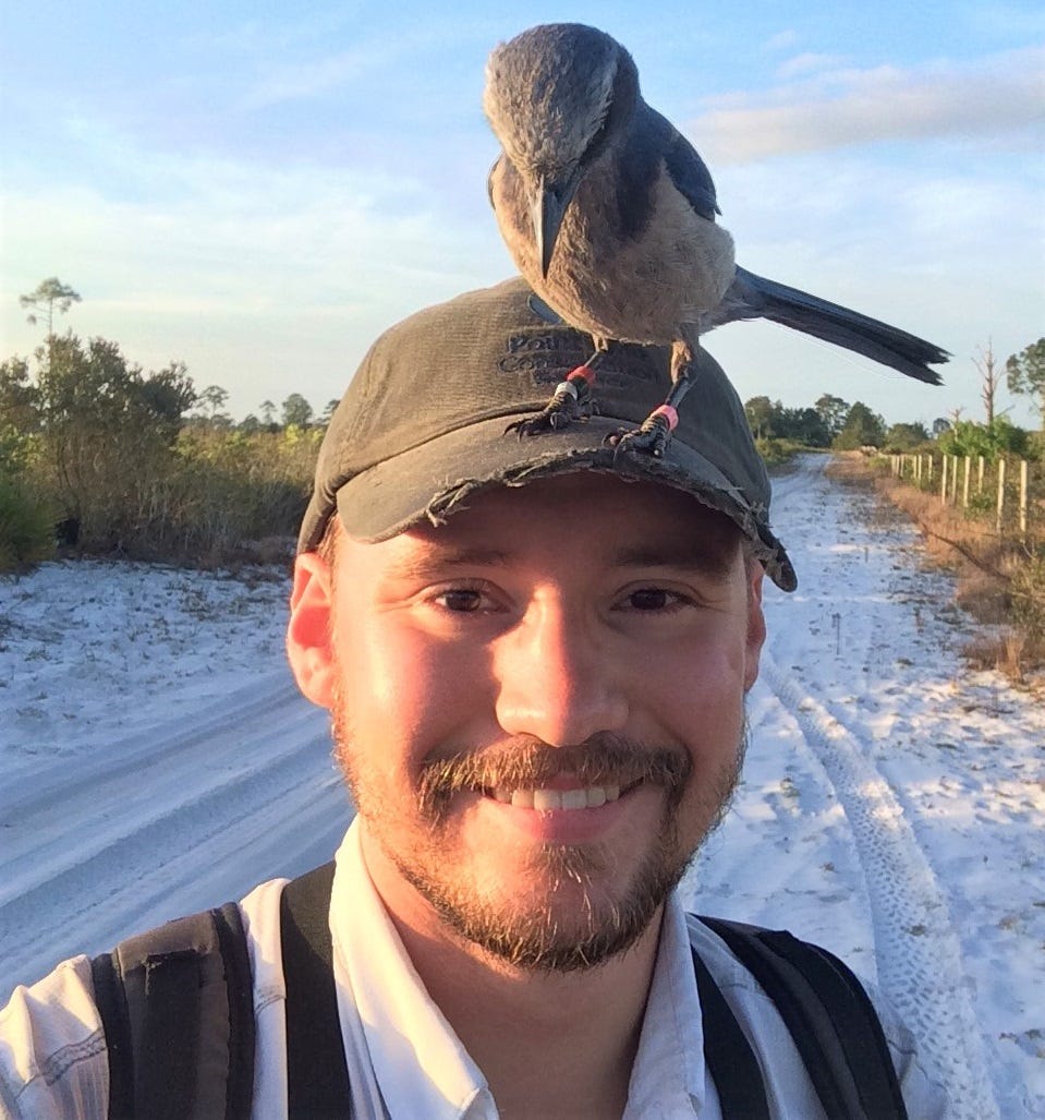 A bold Florida Scrub Jay perches on David Sherer’s head.