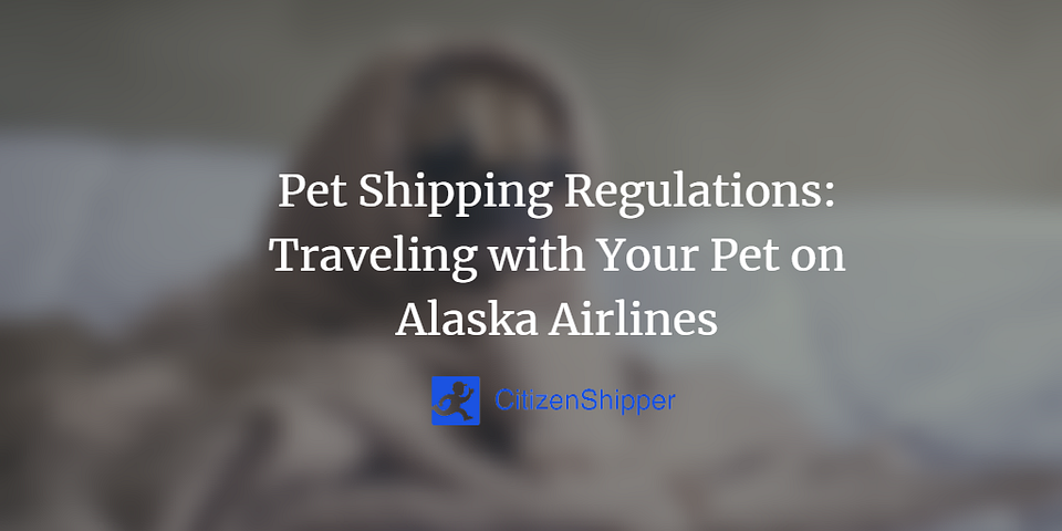 Pet Shipping Regulations: Traveling with Your Pet on Alaska Airlines