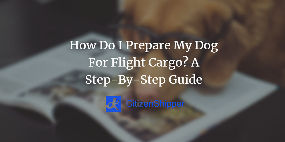 How Do I Prepare My Dog For Flight Cargo? A Step-By-Step Guide
