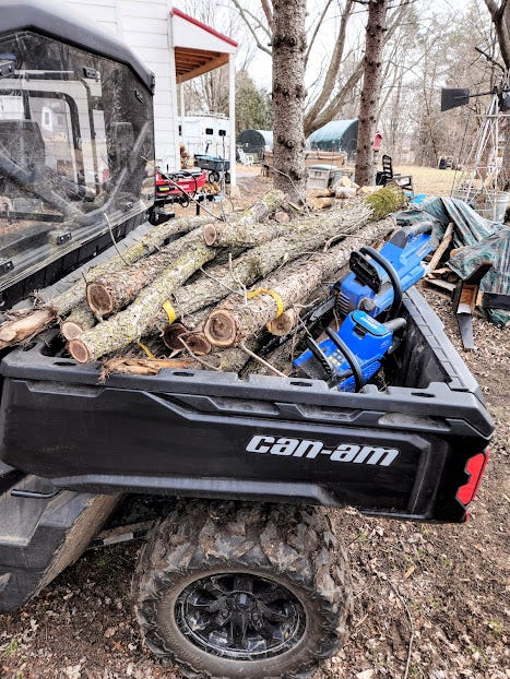 A pile of wood and 3 blue battery operated chainsaws sit in the back of a Can-Am.