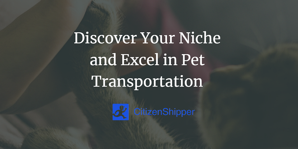 Discover Your Niche and Excel in Pet Transportation