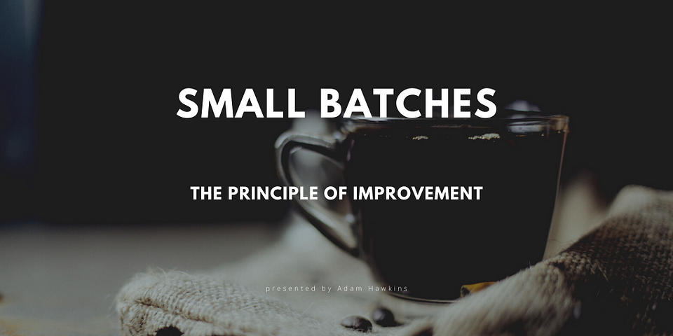 The Principle of Improvement cover