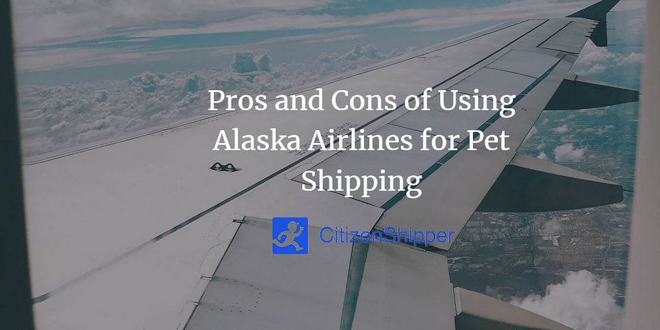 Pros and Cons of Using Alaska Airlines for Pet Shipping