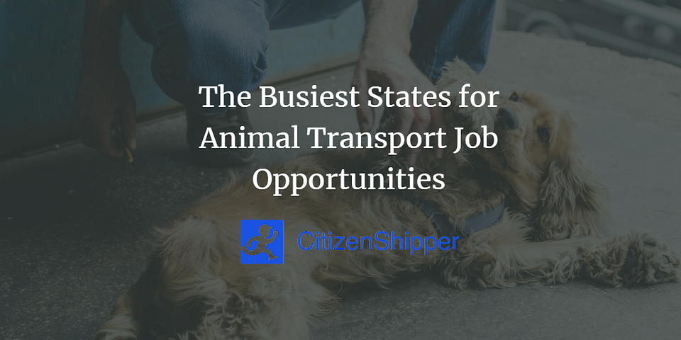 The Busiest States for Animal Transport Job Opportunities