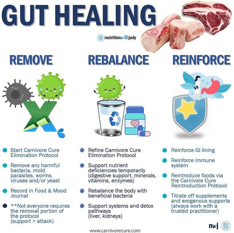 | Gut healing | SIBO diet | the best diet to follow for SIBO | healing SIBO with diet |