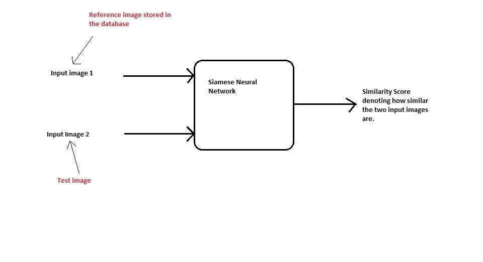 Automated Signature Verification Using Siamese Network | LaptrinhX