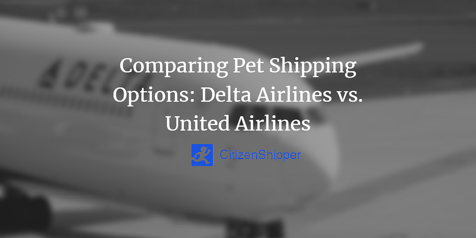 Comparing Pet Shipping Options: Delta Airlines vs. United Airlines