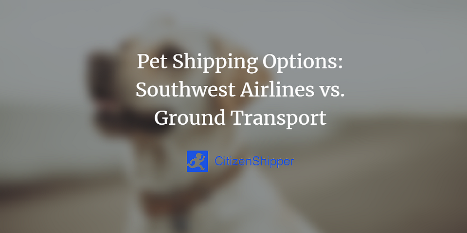 Pet Shipping Options: Southwest Airlines vs. Ground Transport