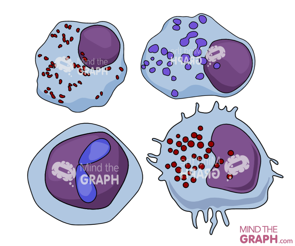 cells infection