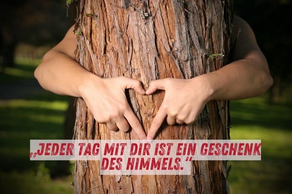 Das Bild zeigt einen Baumstamm, den eine Person umarmt. Die Hände der Person formen ein Herz. Der Hintergrund ist unscharf und grün. Unten im Bild steht der Text: