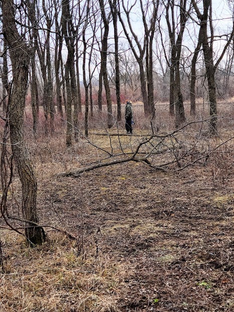 Dan, stands at the end of a trail segment. Several small trees are covering the trail.