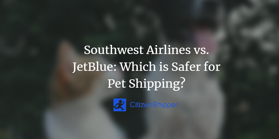 Southwest Airlines vs. JetBlue: Which is Safer for Pet Shipping?