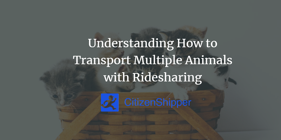 Understanding How to Transport Multiple Animals with Ridesharing