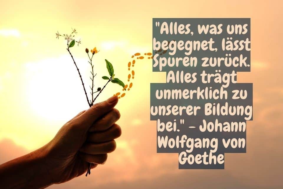 Titelbild 122 Zitate von Johann Wolfgang von Goethe die inspirieren. Ein Strauss Blumen mit Zitat: