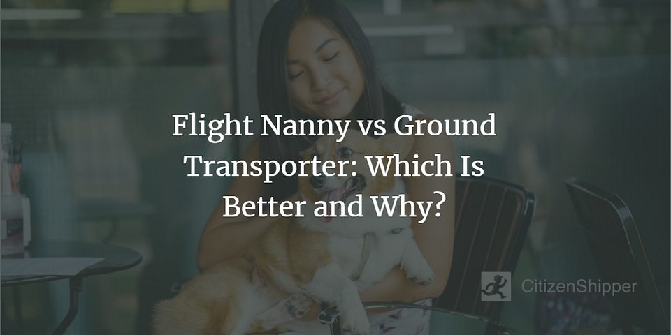 Flight Nanny vs Ground Transporter: Which Is Better and Why?