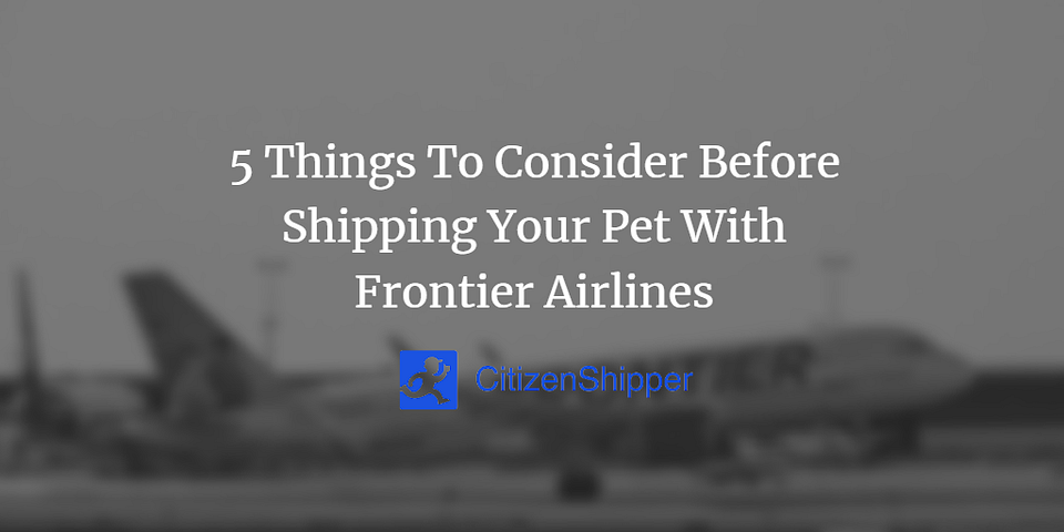 5 Things To Consider Before Shipping Your Pet With Frontier Airlines
