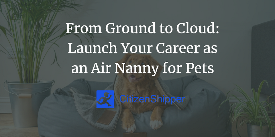 From Ground to Cloud: Launch Your Career as an Air Nanny for Pets