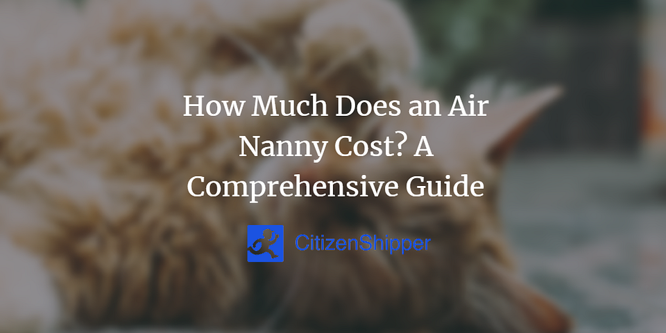 How Much Does an Air Nanny Cost? A Comprehensive Guide