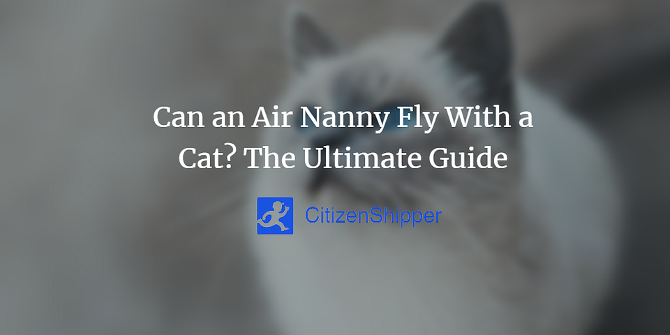 Can an Air Nanny Fly With a Cat? The Ultimate Guide
