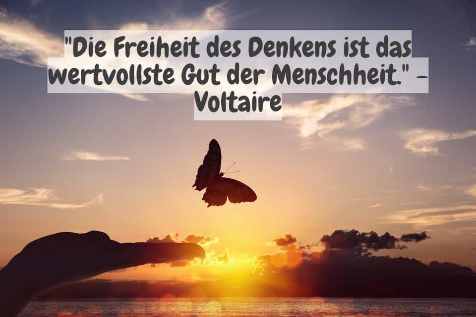 Das Bild zeigt eine Silhouette einer Hand, die sich einem fliegenden Schmetterling entgegenstreckt, vor einem Sonnenuntergangshimmel. Oben steht der Text: