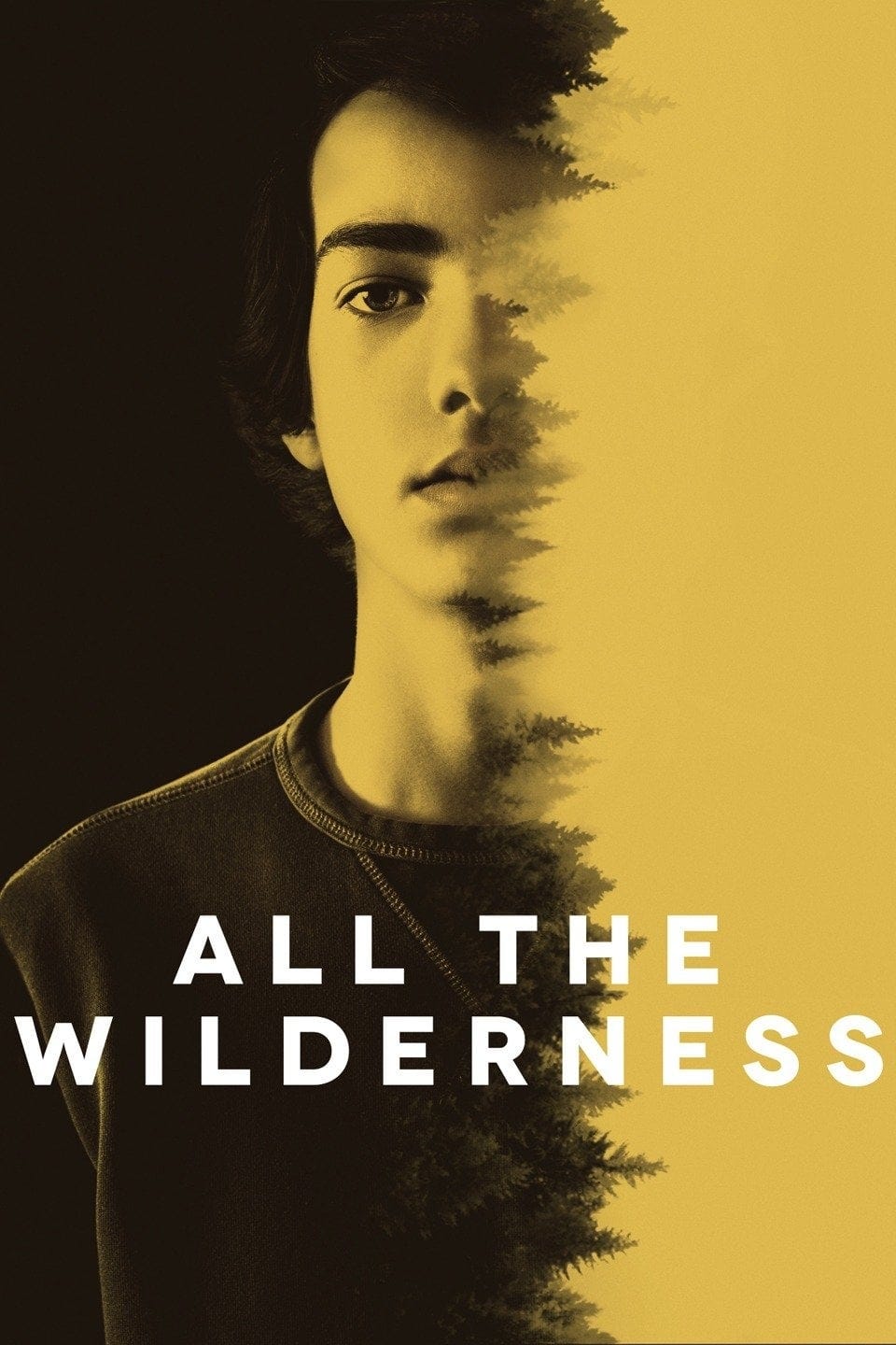 All the Wilderness (2014) | Poster