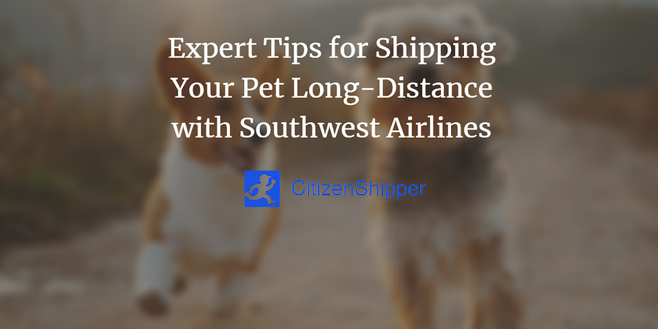 Expert Tips for Shipping Your Pet Long-Distance with Southwest Airlines