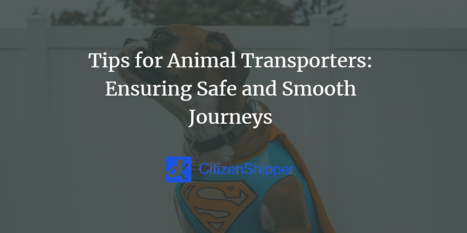 Tips for Animal Transporters: Ensuring Safe and Smooth Journeys