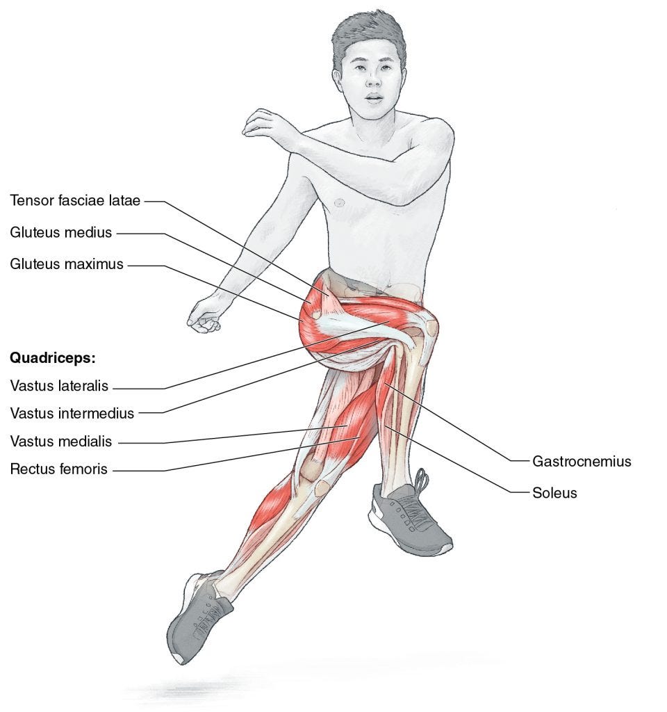 Plyometric exercises: lateral bounds image