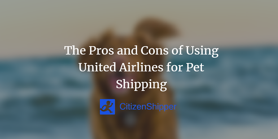 The Pros and Cons of Using United Airlines for Pet Shipping