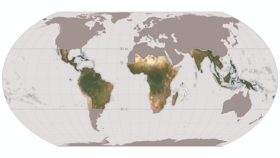 Global map of the pantropical coverage of NICFI program