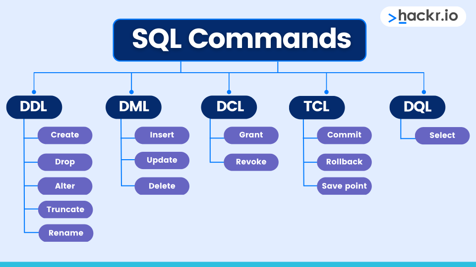 Mastering SQL Commands: The Backbone of Data Management