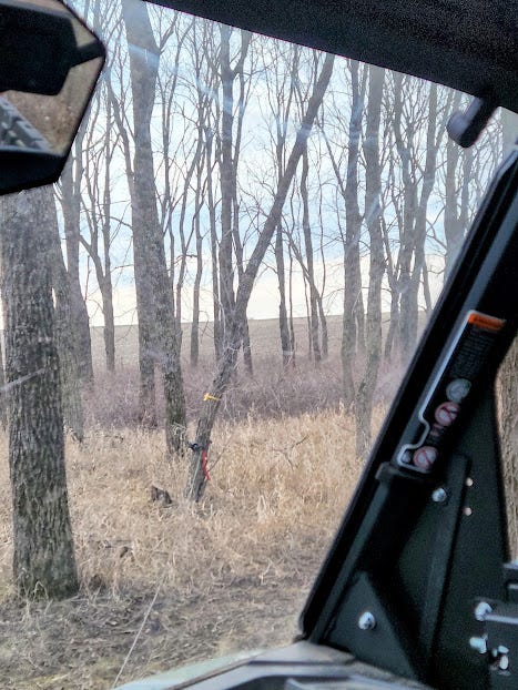 A tree is hung up on other trees. A winch line is wrapped around it and viewed through the windshield of a Can-Am.