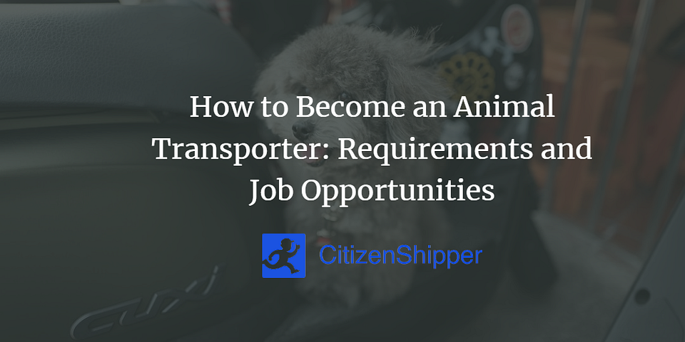 Tips for Becoming an Animal Transporter