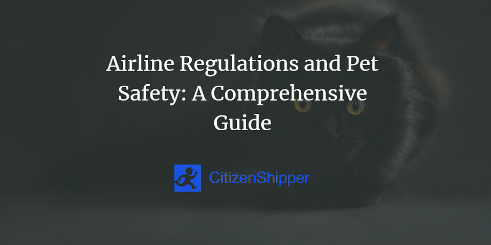 Airline Regulations and Pet Safety: A Comprehensive Guide