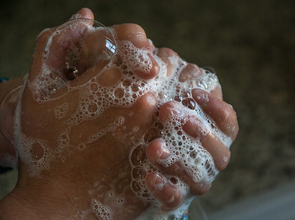 Hands clasped together, covered in soap suds.