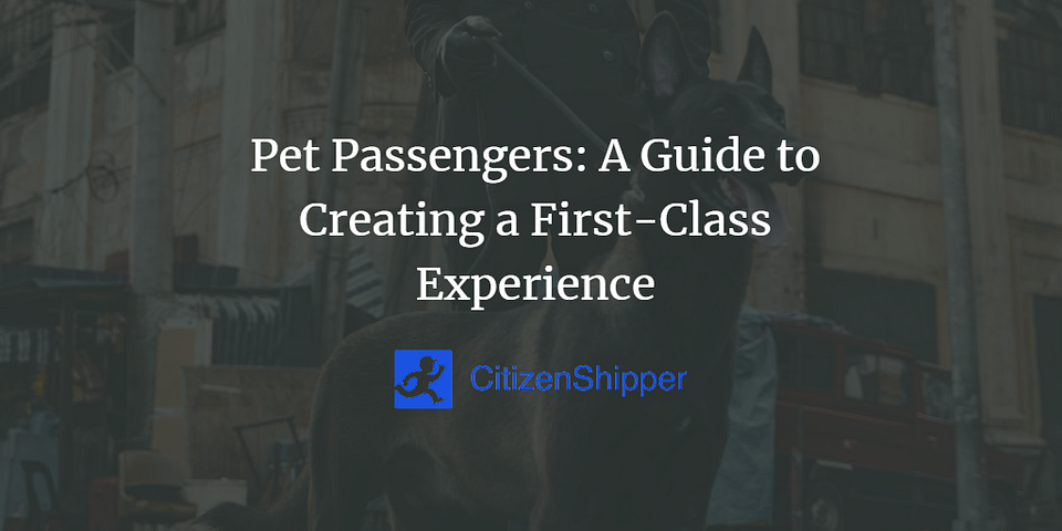 Pet Paw-sengers: A Guide to Creating a First-Class Experience