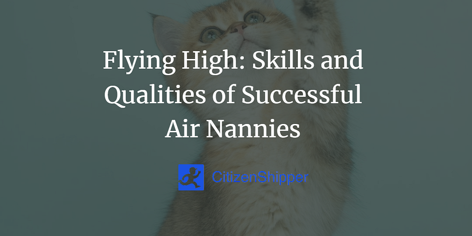 Flying High: Skills and Qualities of Successful Air Nannies