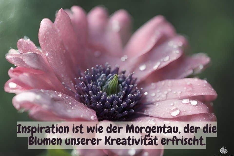 Das Bild zeigt eine Nahaufnahme einer rosa Blume mit Wassertropfen auf den Blütenblättern. Darunter steht der Text: