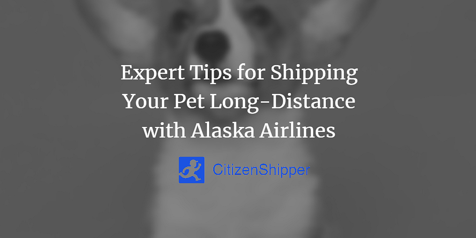 Expert Tips for Shipping Your Pet Long-Distance with Alaska Airlines