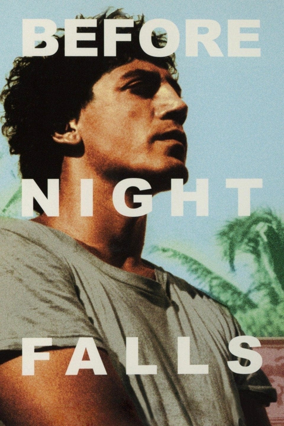 Before Night Falls (2000) | Poster
