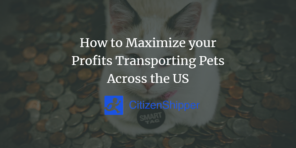 How to Maximize your Profits Transporting Pets Across the US