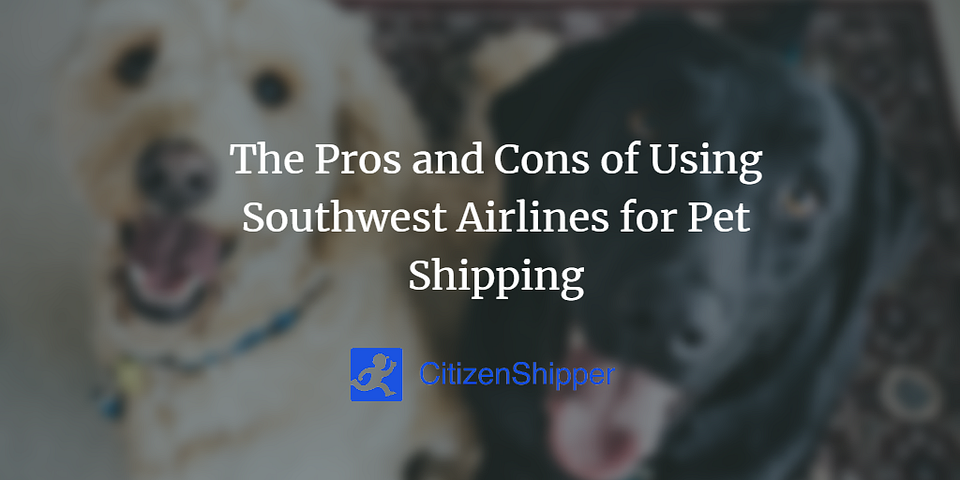 The Pros and Cons of Using Southwest Airlines for Pet Shipping