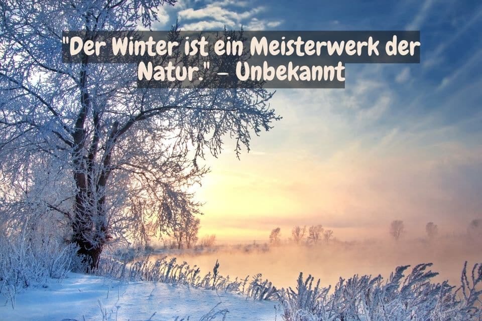 Das Bild zeigt eine malerische Winterlandschaft mit schneebedeckten Bäumen und einem nebligen Horizont bei Sonnenaufgang. Oben im Bild steht der Text: